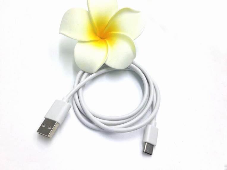 ABS殼款type-c數(shù)據(jù)線(xiàn) ABS殼款type-c數(shù)據(jù)線(xiàn)